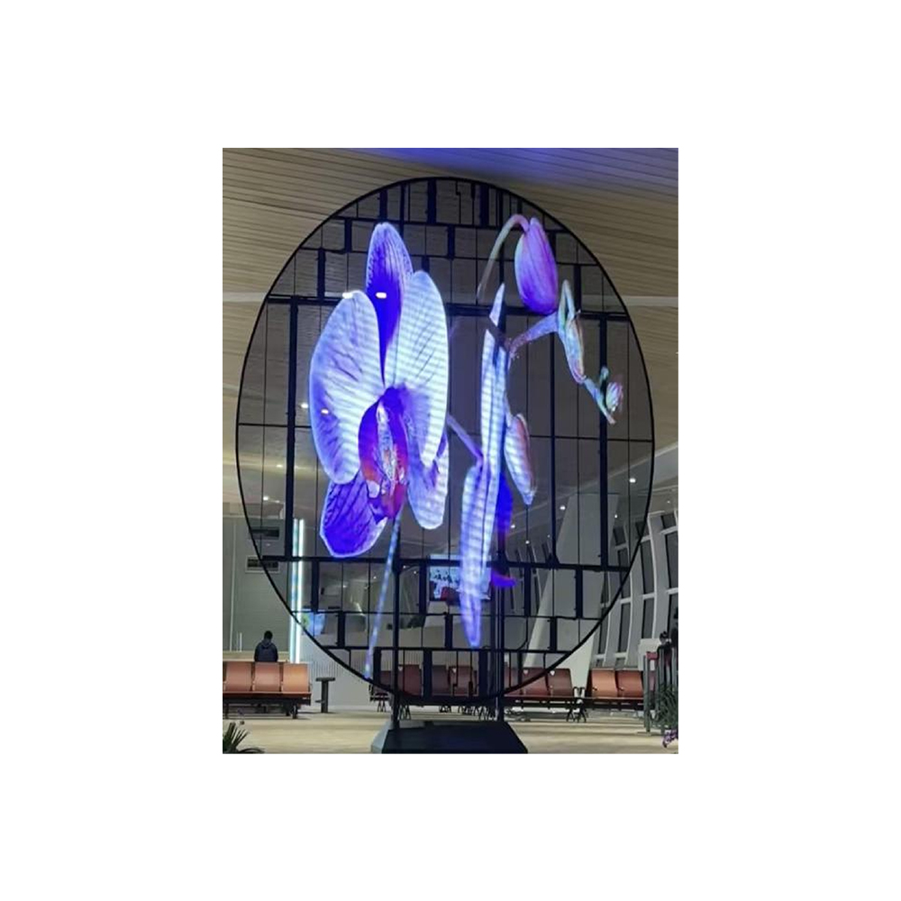 Custom Special-shaped Transparent Screen